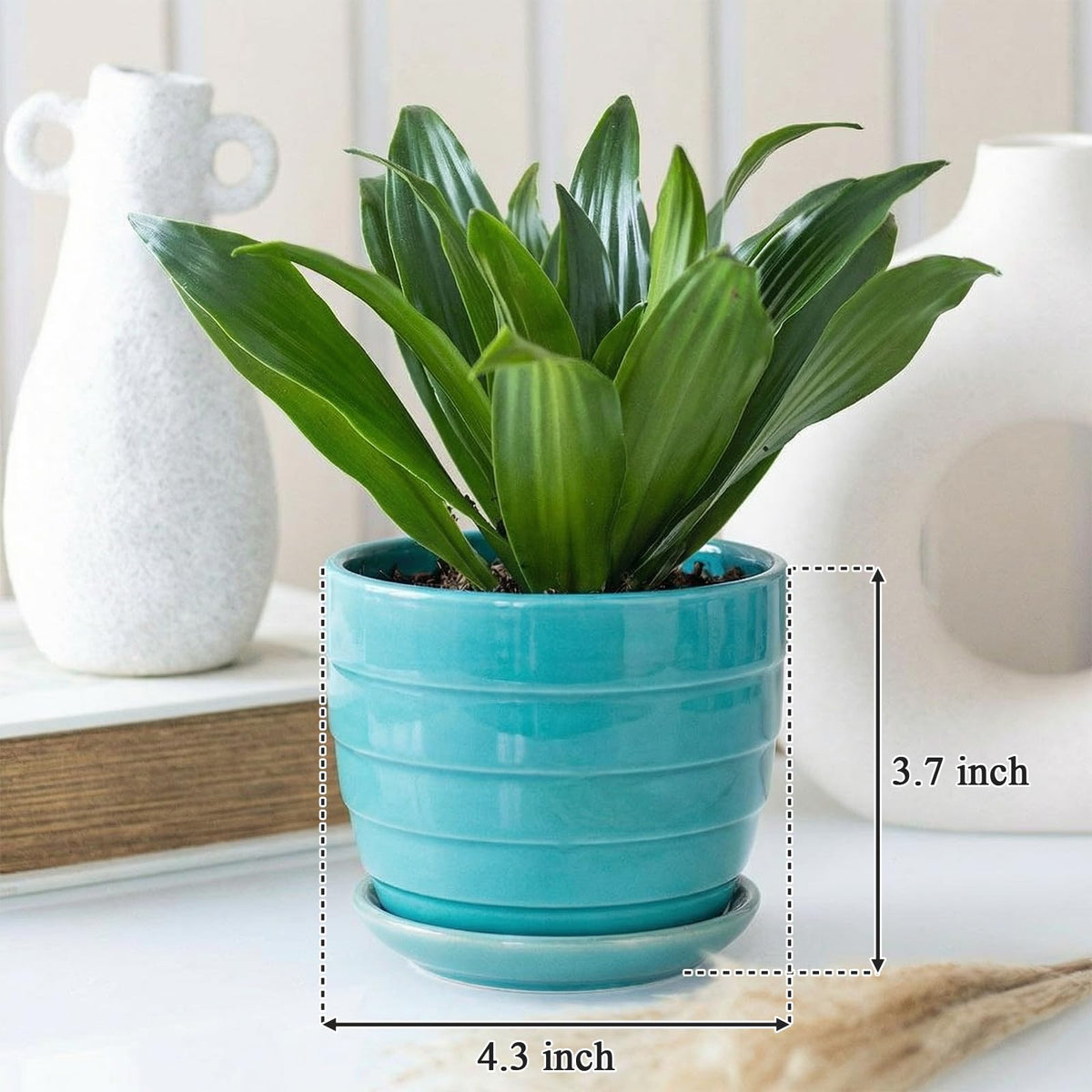 Elsjoy glossy ceramic pot showcases color and durability for lasting displays.