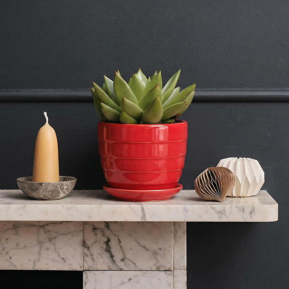Elsjoy ready-to-gift succulent pots ideal for plant lovers.
