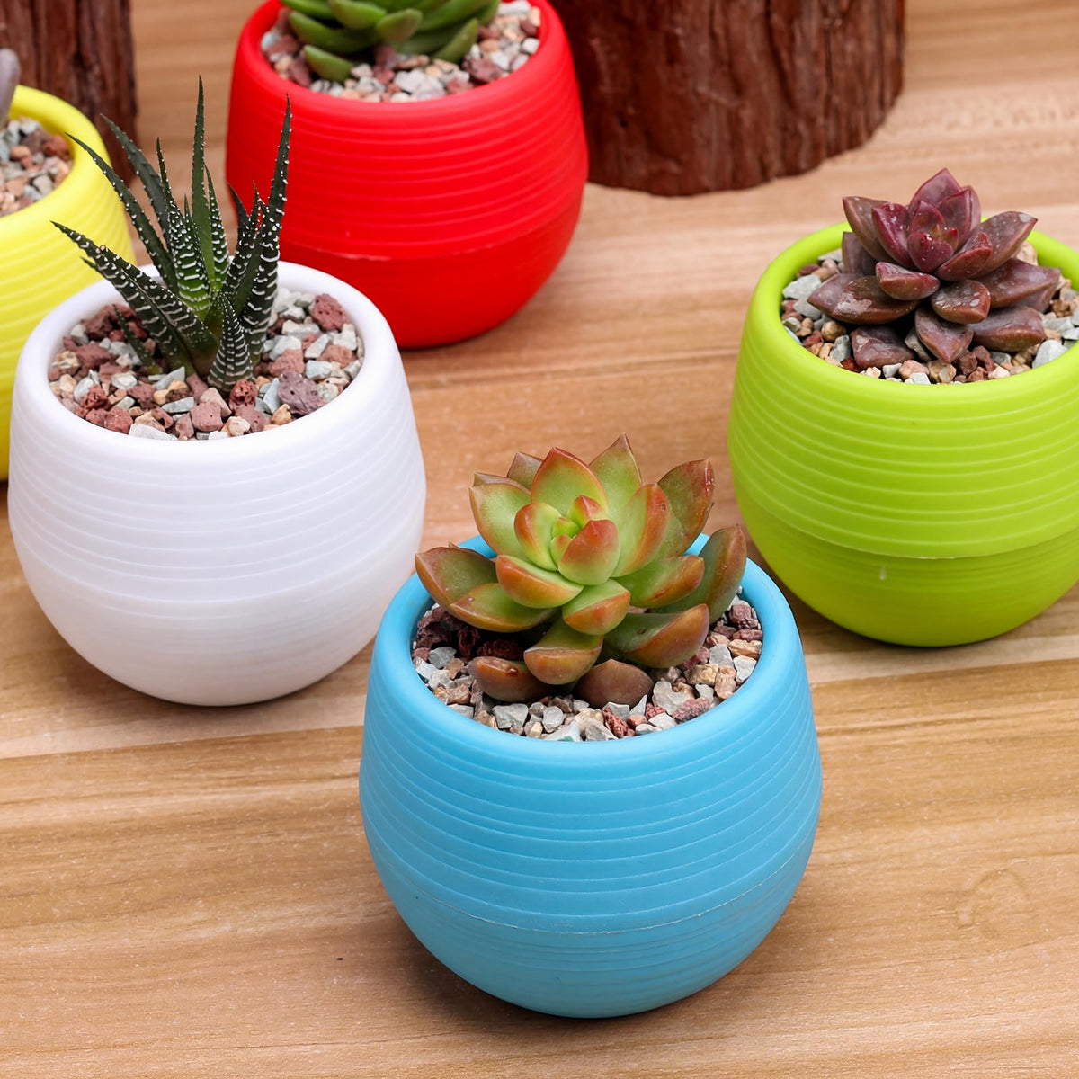 Elsjoy blue mini succulent pots, five-pack, complements coastal or modern decor.