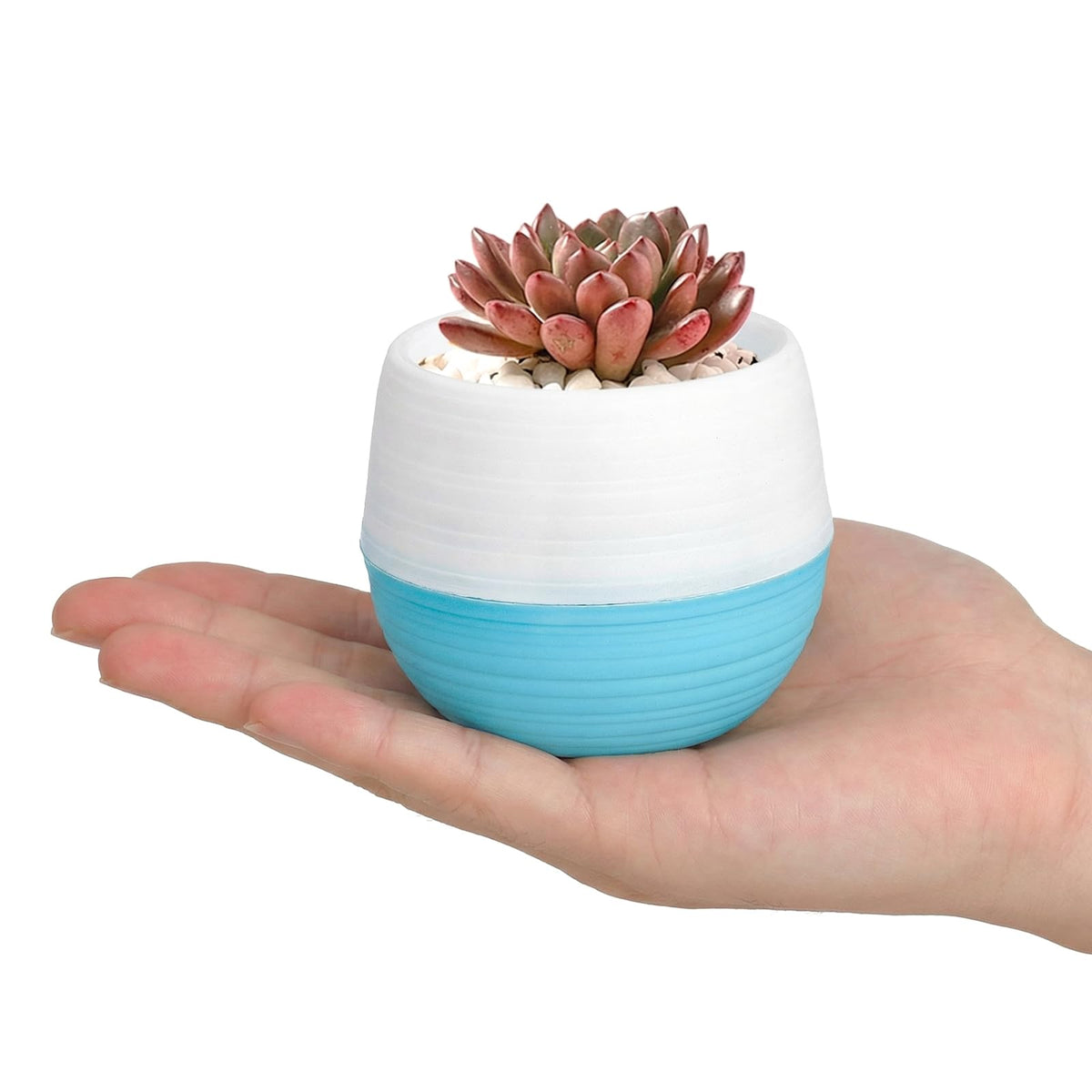 Elsjoy pink mini succulent pots, five-pack, adds playful color to desks.