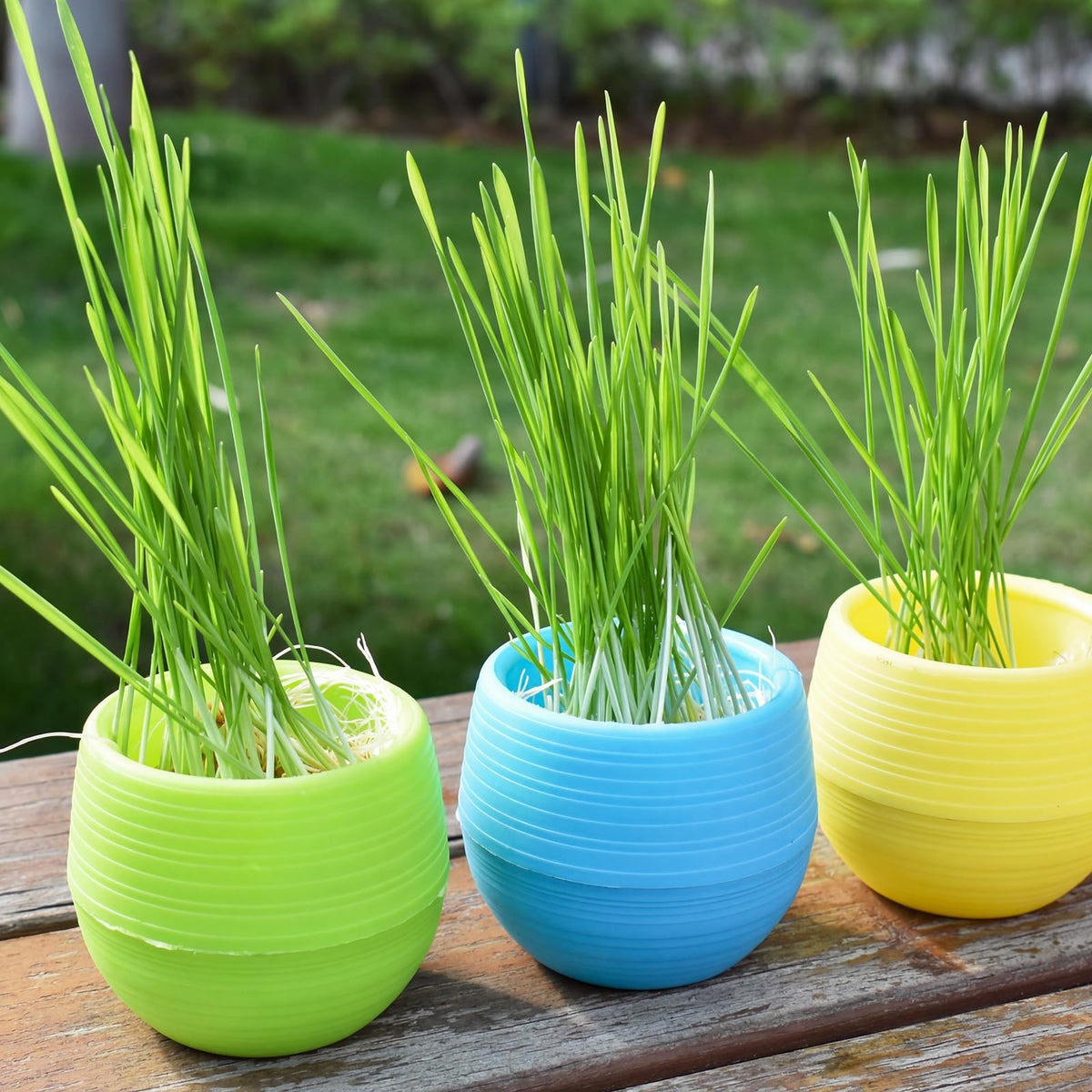 Elsjoy white mini succulent pots, five-pack, clean look for minimalist arrangements.