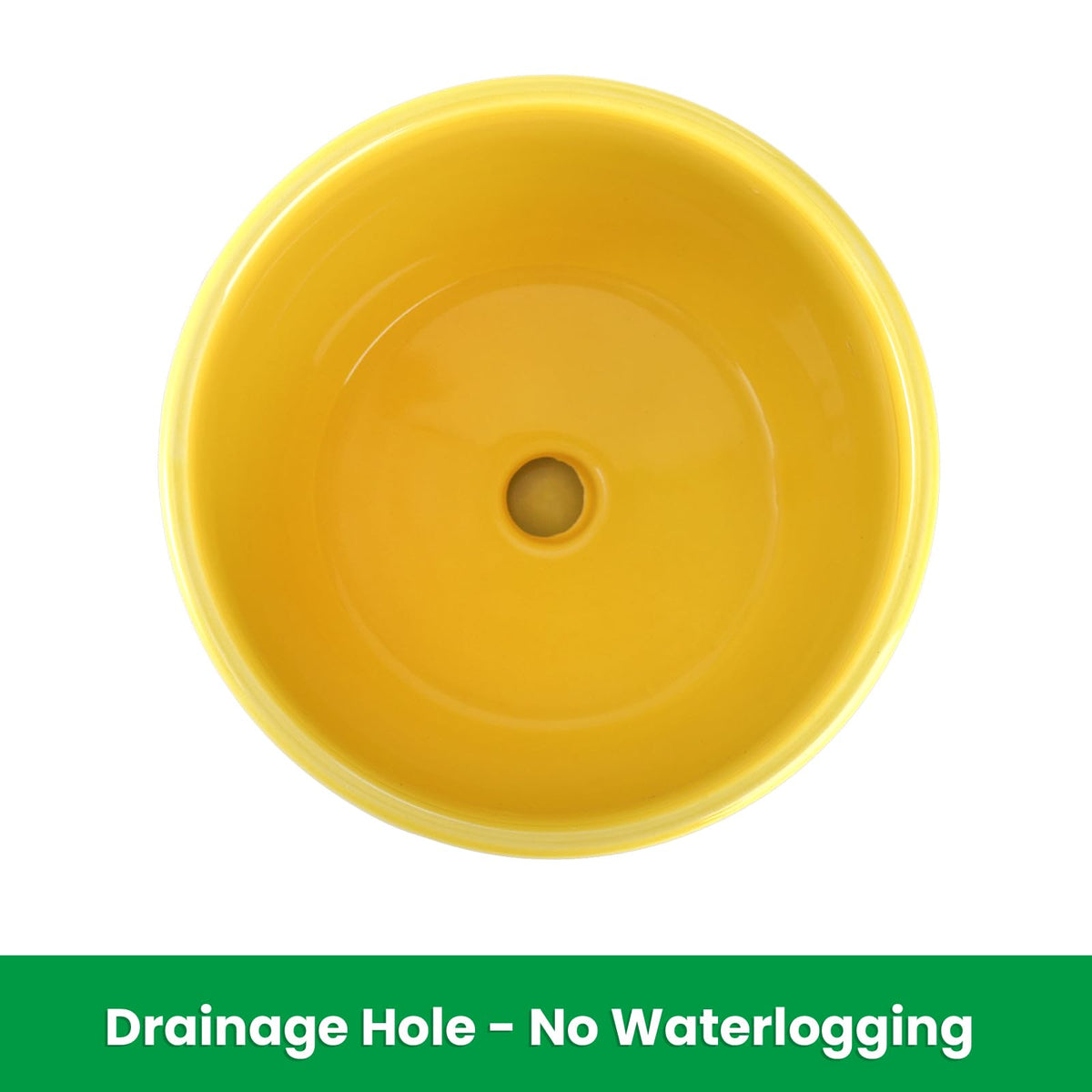 Elsjoy 4.3-inch pot with drainage hole supports healthy root airflow.