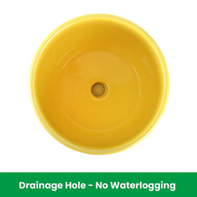 Elsjoy 4.3-inch pot with drainage hole supports healthy root airflow.
