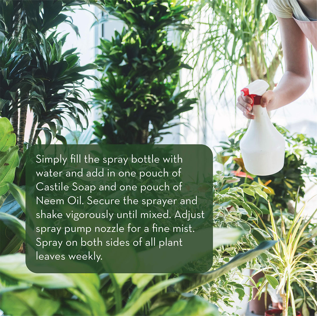 Emily's Castile soap packets included in the kit for DIY neem spray.