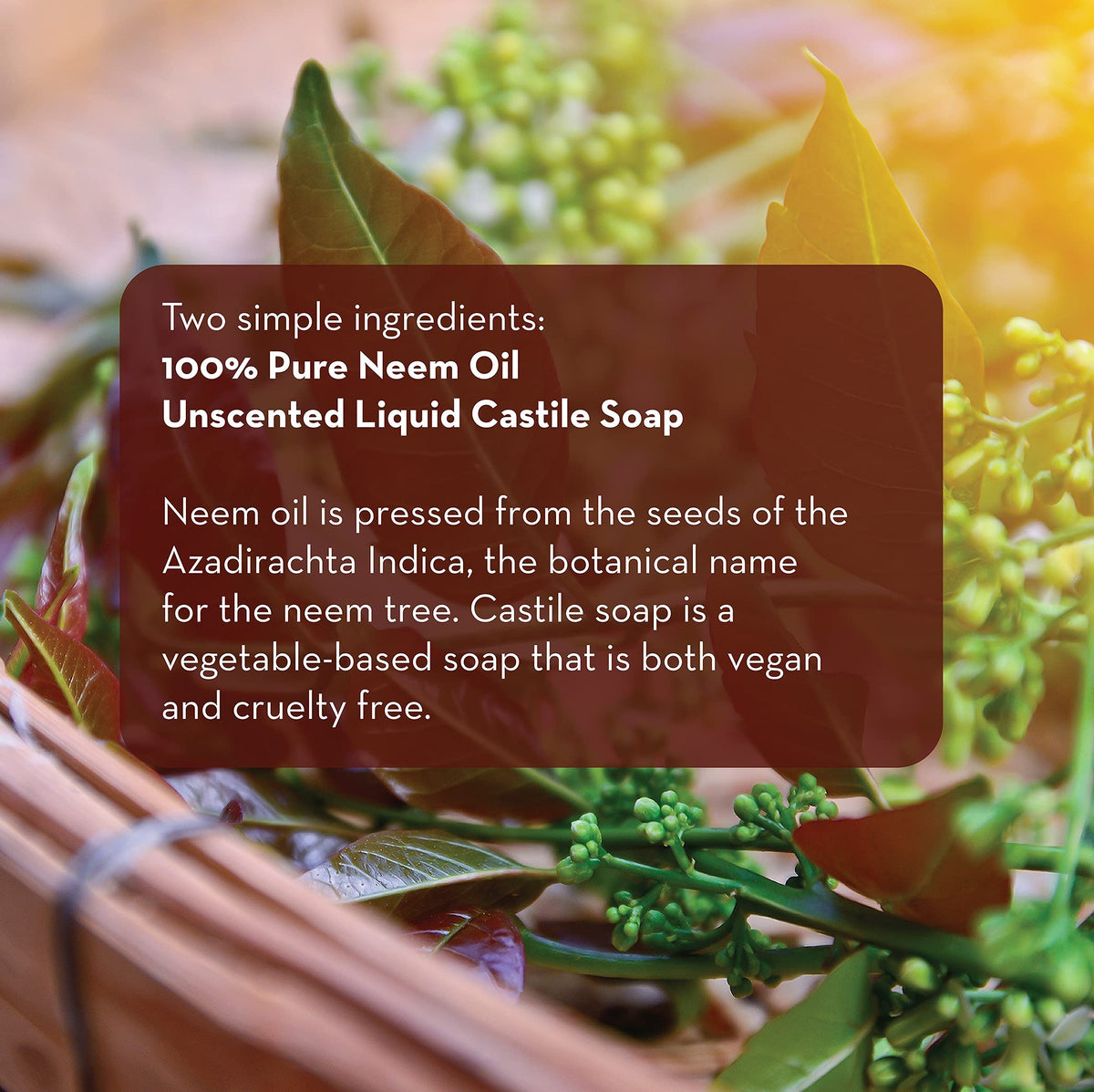 Emily's Neem DIY kit in hand demonstrates a wallet-friendly gardening solution.