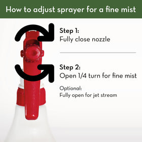 Indoor plant care scenario using an energy-efficient natural spray.