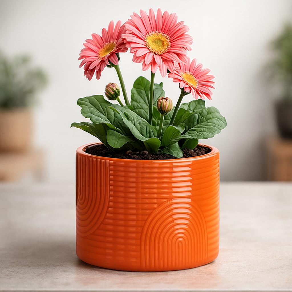 ÈMJÉ LUXE 6-Inch ceramic pot on a desk elevating indoor plant shelves.