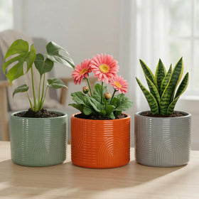 Detailed glaze and ribbing from ÈMJÉ LUXE enhance modern home decor.