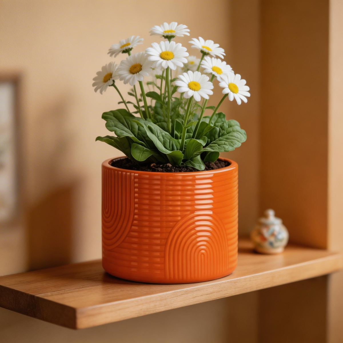 Side view of the 6-inch ÈMJÉ LUXE pot for compact desk setup.