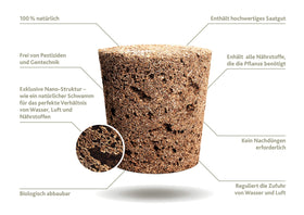 EMSA smart garden water tank display confirms proper hydration