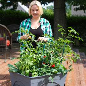 Emsco City Picker aeration screen promotes root oxygen in a compact bed.