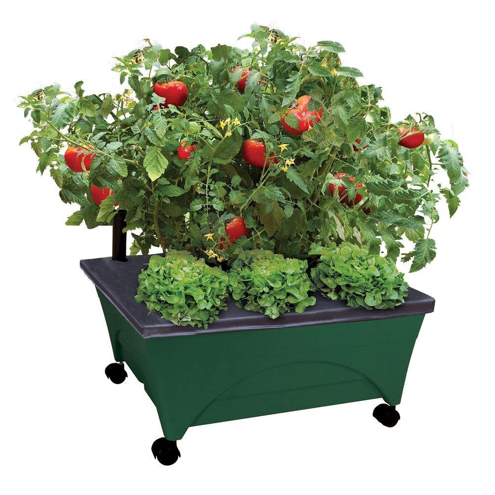 EMSCO City Picker with four casters for easy mobility and sun tracking