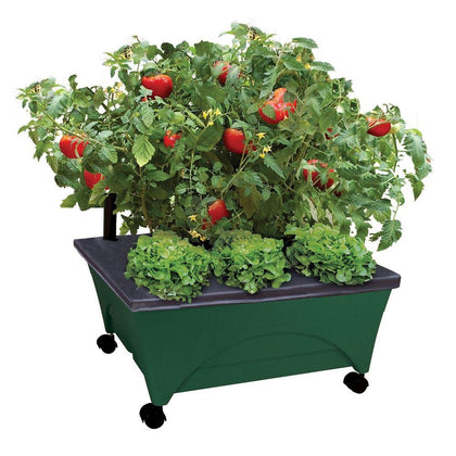 EMSCO City Picker with four casters for easy mobility and sun tracking