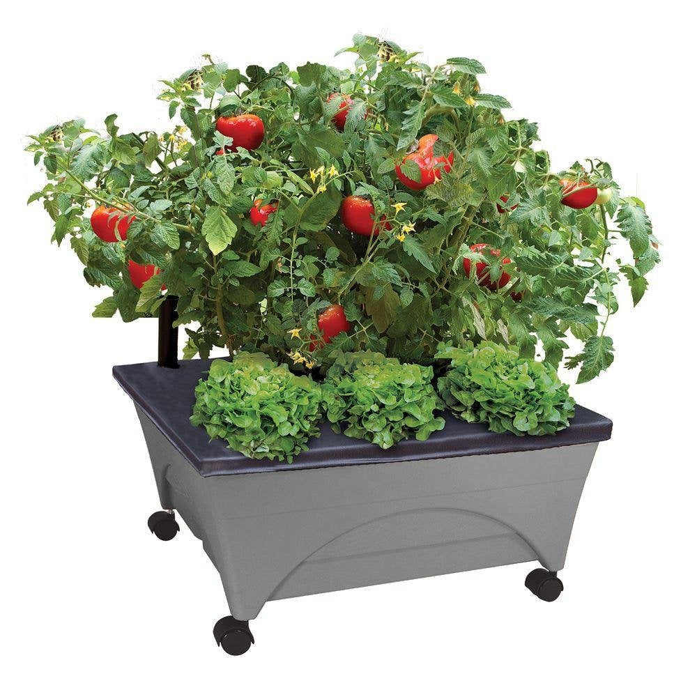 Emsco City Picker raised bed with water-wicking system for easy irrigation.