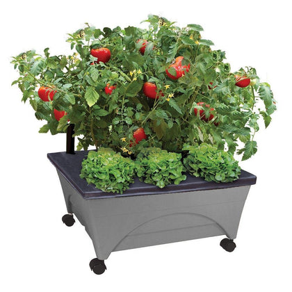 Emsco City Picker raised bed with water-wicking system for easy irrigation.
