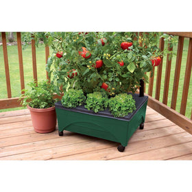 EMSCO City Picker self watering reservoir keeps plants hydrated with minimal effort