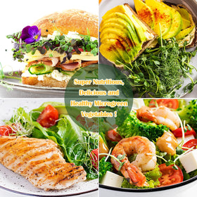 Emsiok biodegradable microgreen growth mat helps eco friendly indoor farming.