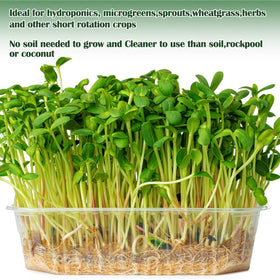 Emsiok hydroponic microgreens supply mat supports consistent germination and harvest.