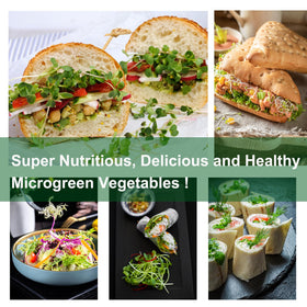 Emsiok a 64-piece kit supporting organic microgreen production