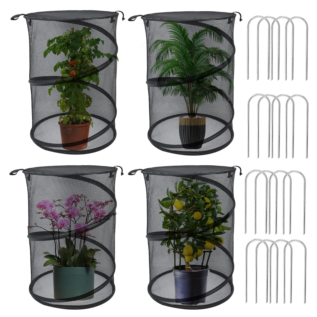 Emsiok plant cloche pop-up 4-pack protects seedlings with easy airflow.