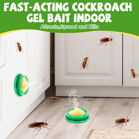 Enbabbor cockroach gel bait packaging highlights value with 36 traps for households.
