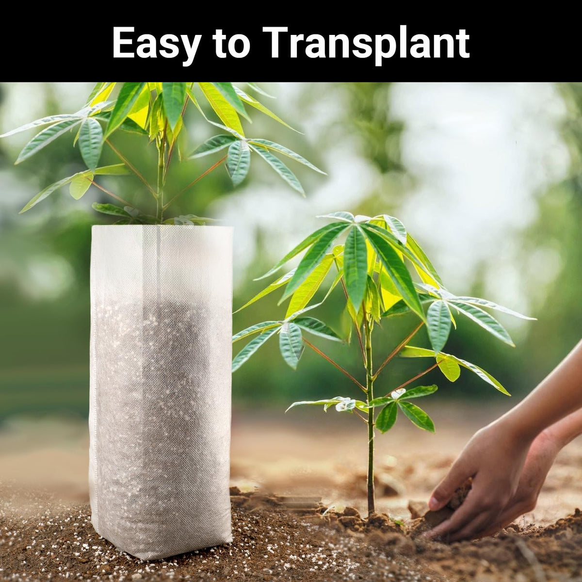 ENPOINT Fabric Grow Bags filled with soil and a seedling.