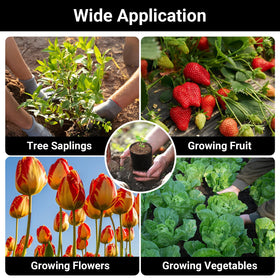 ENPOINT grow bags garden setup suitable for small spaces.