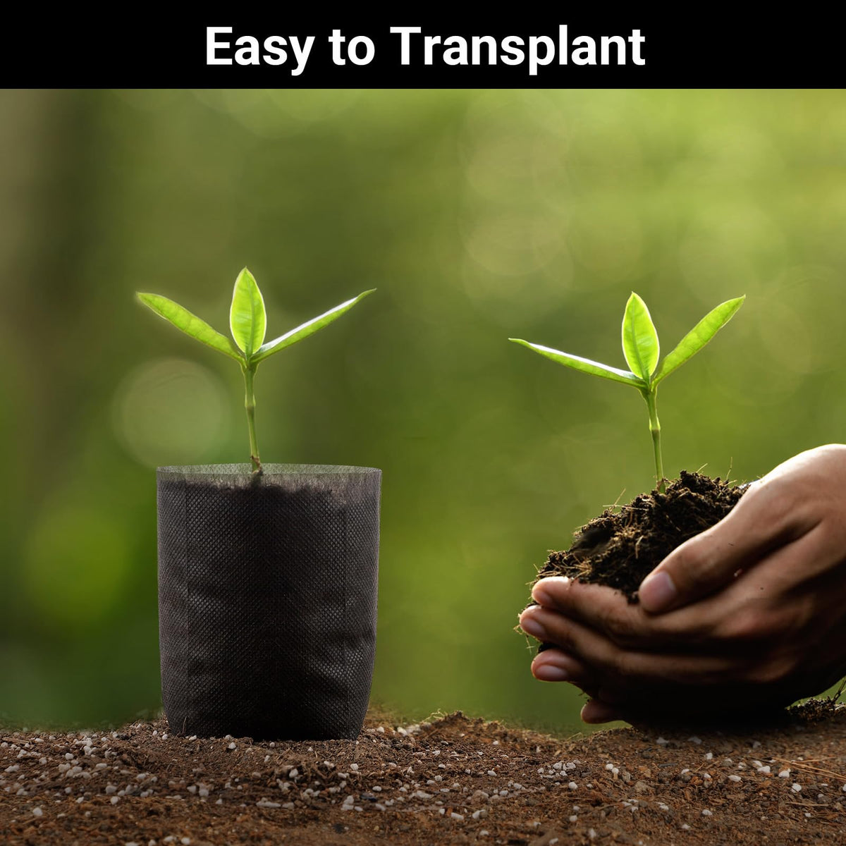 ENPOINT grow bags root growth through fabric supports healthy seedlings.