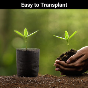 ENPOINT grow bags root growth through fabric supports healthy seedlings.
