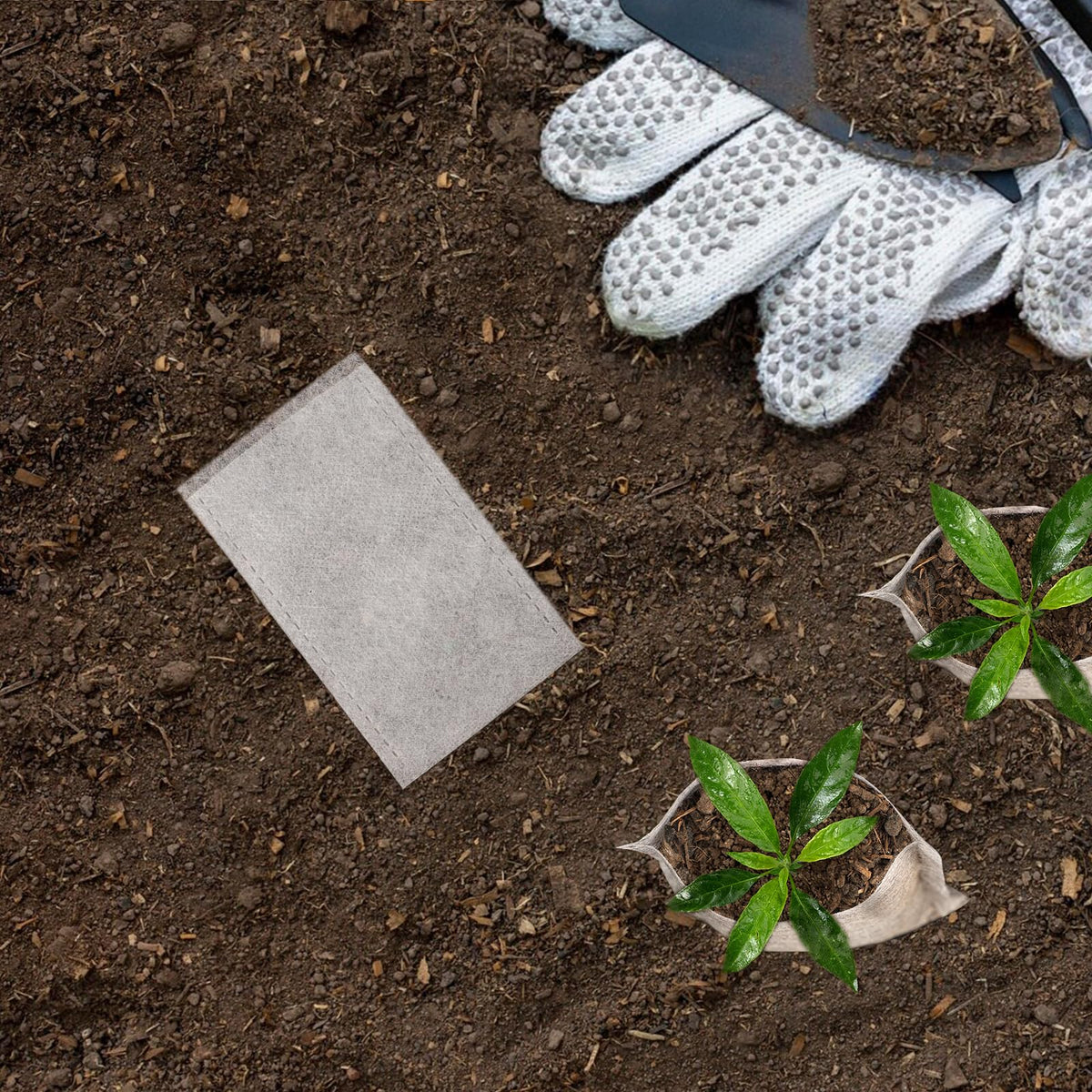 ENPOINT Seed Starter Bags suited for peppers tomatoes and cucumbers