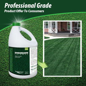 Endurant turf colorants dense green coverage on lawn enhances curb appeal