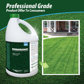 Endurant easy spray application with garden sprayer for lawn color restoration