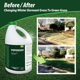 Endurant turf colorants mixing setup demonstrates dilution workflow for efficient turf repair