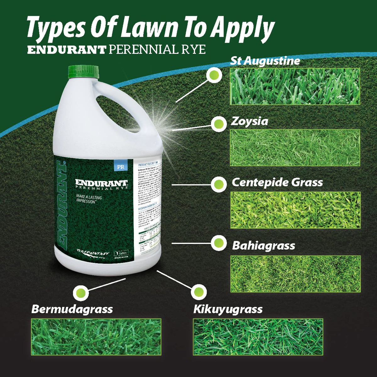 Endurant pet-safe lawn dye dries in about 60 minutes for quick outdoor use