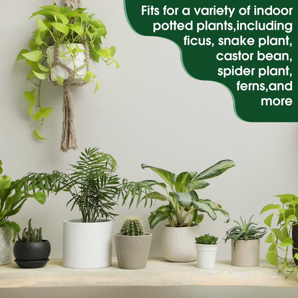 Enhon castor bean fertilizer spikes nourish castor bean plants effectively
