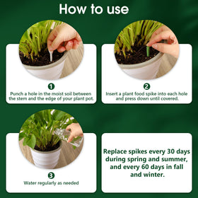 Enhon fertilizer spikes packaging shown, convenient 3-pack for easy care
