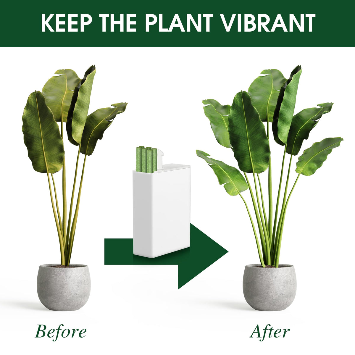 Enhon plant nutrition spikes micronutrients support vibrant foliage