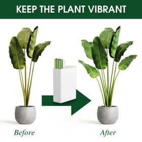 Enhon plant nutrition spikes micronutrients support vibrant foliage