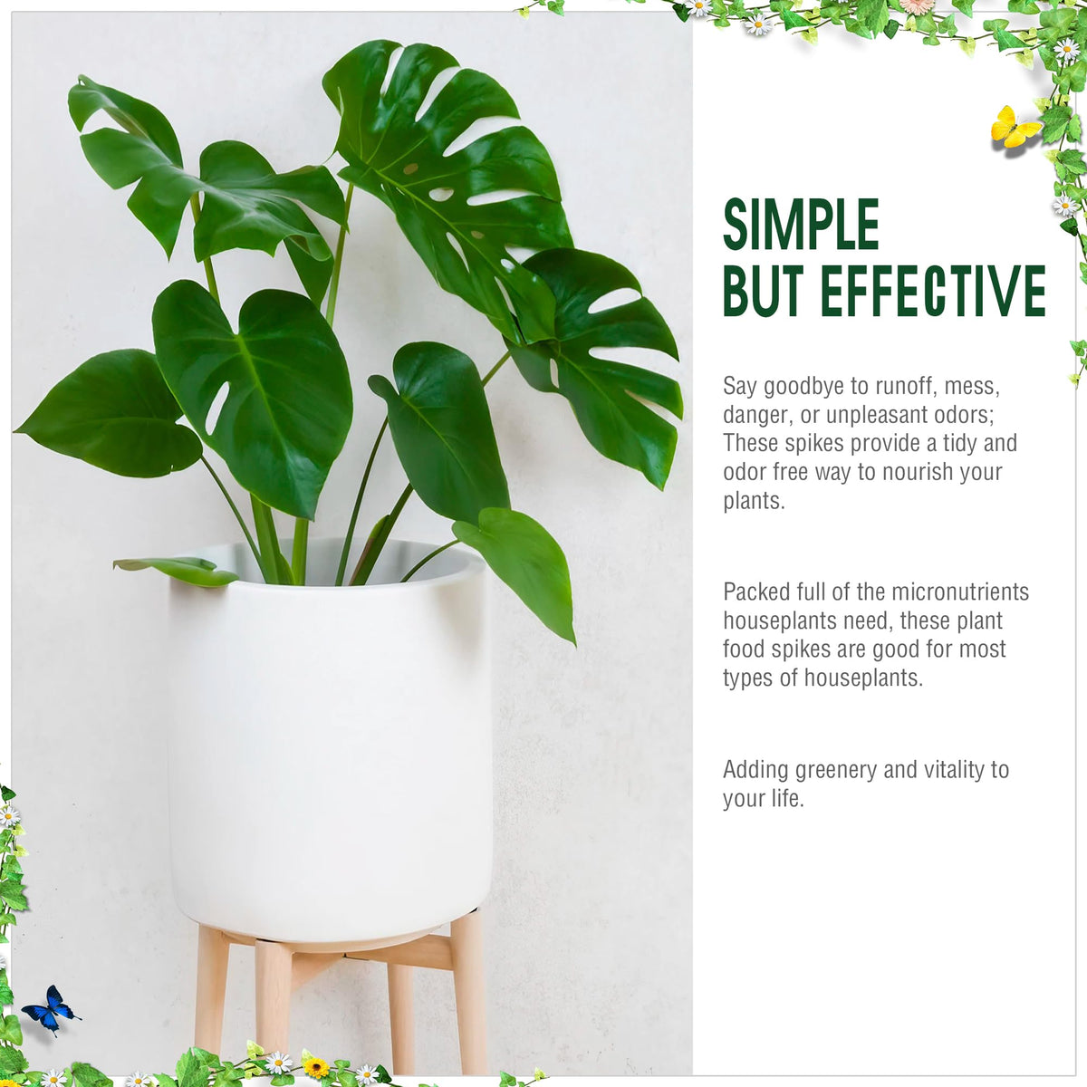 Enhon spider plant nourishment spikes promote lush, resilient growth