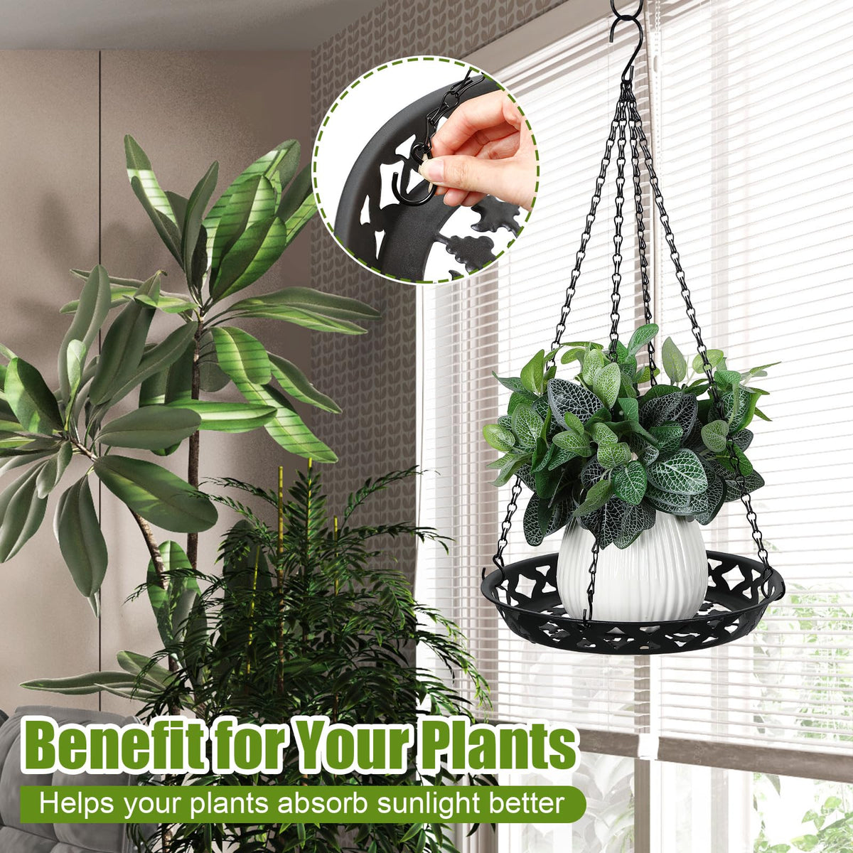 Enhon window or ceiling setup showcases plants beautifully