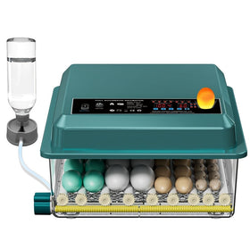 Enjoy Plush automatic egg incubator 36-tray enables versatile egg types and reliable flipping.