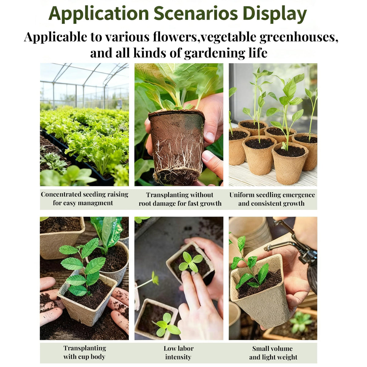ENNUFO biodegradable seed pots ensure zero-waste gardening and sustainable home growing.