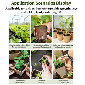 ENNUFO biodegradable seed pots ensure zero-waste gardening and sustainable home growing.