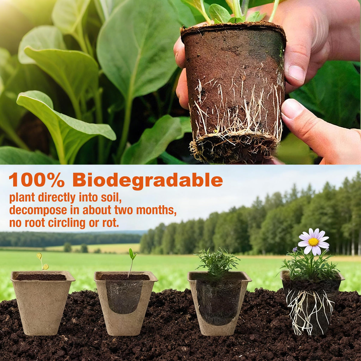 ENNUFO eco-friendly planting pots support vegetables and herbs with natural breakdown.