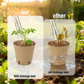 ENNUFO seed starter pots with four drainage holes promote healthy root systems.