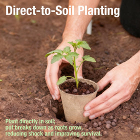 ENNUFO 40-pack peat pots fit standard trays for efficient greenhouse seed starting.