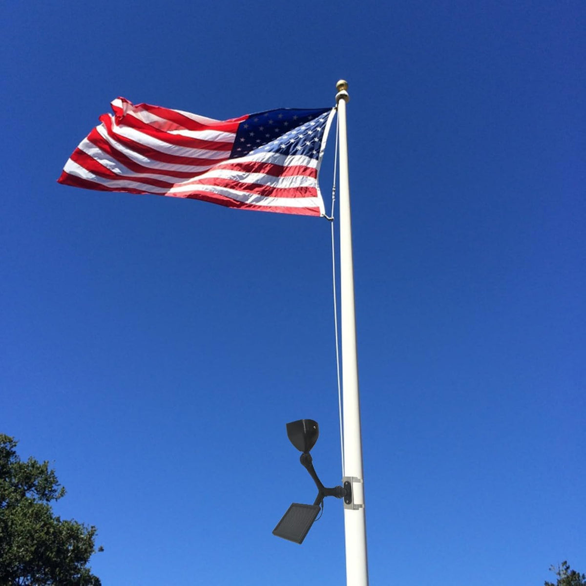 enrybia Y-bracket flag light simplifies mounting on existing poles