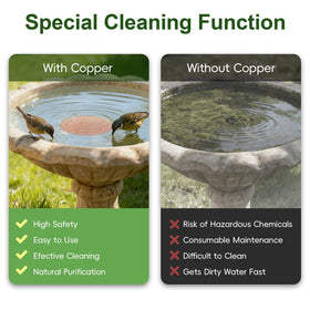 Ensayeer bird bath with 4-point support improves stability during use
