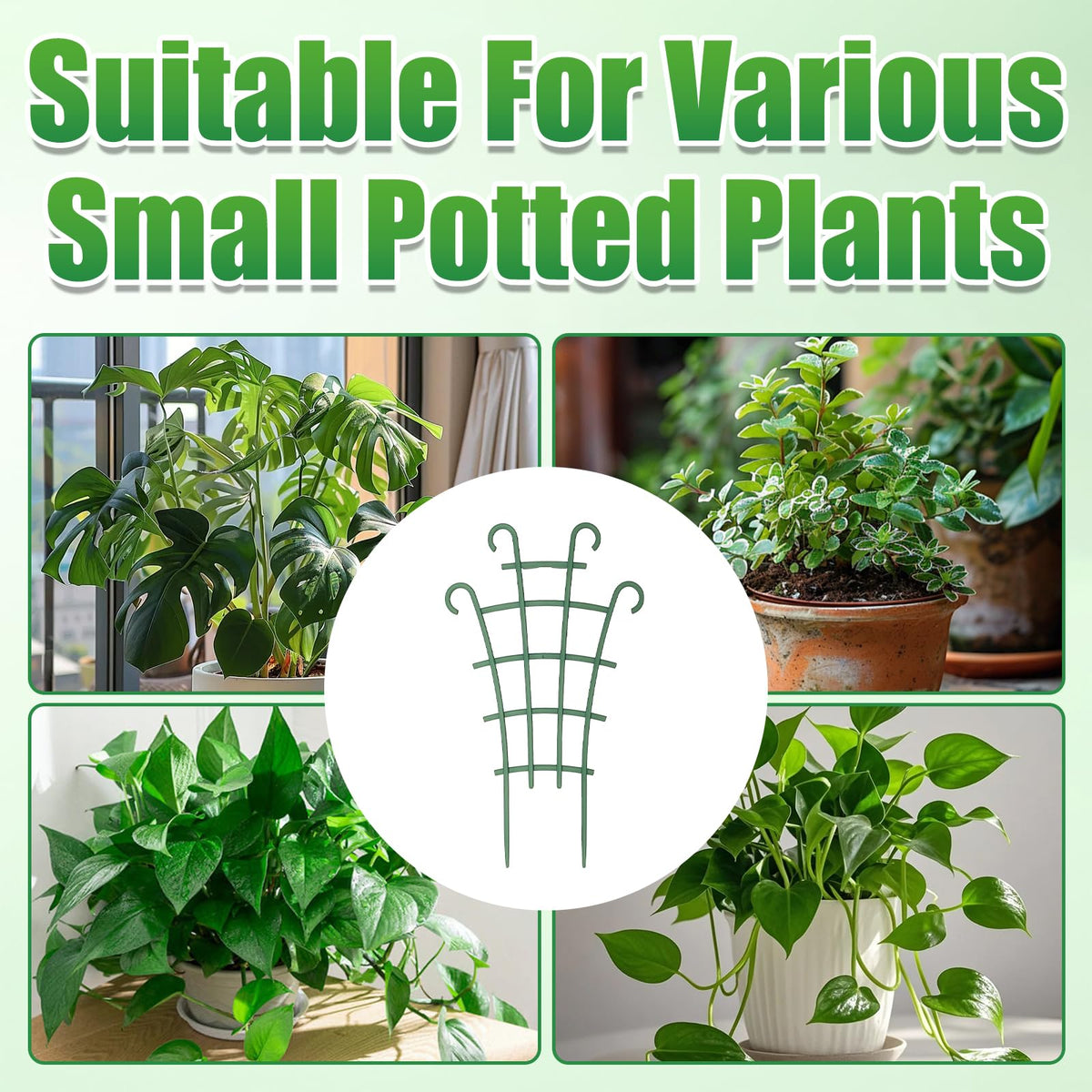 Enterlent potted plant trellis suitable for indoor and outdoor use with flexibility