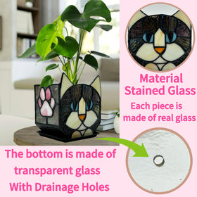 Entlityful black cat planter with drainage for plant care and watering control.